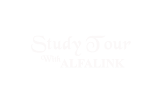 studytour-light